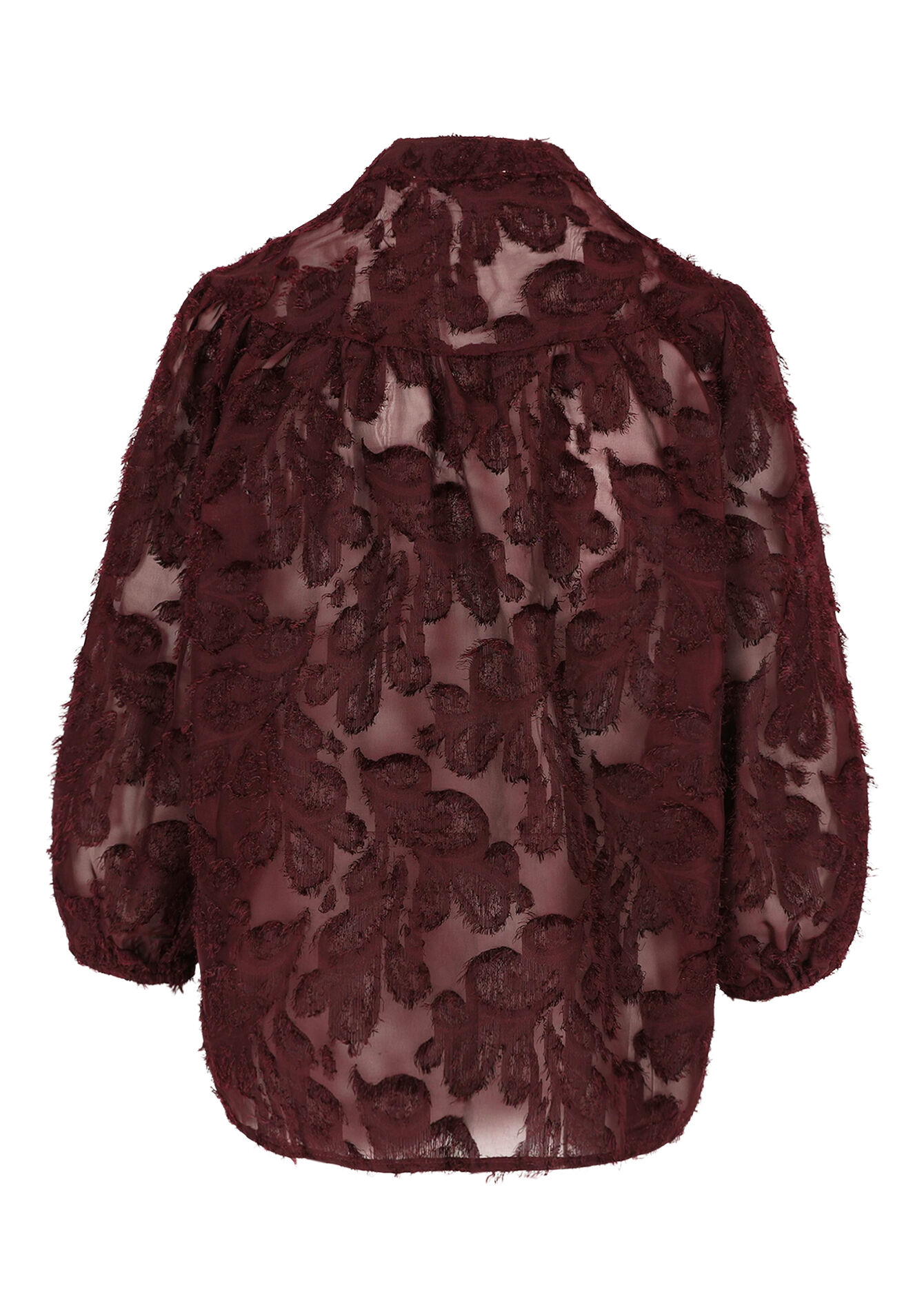 Chemise transparente texturée - BORDEAUX WINE - 05702855_5514