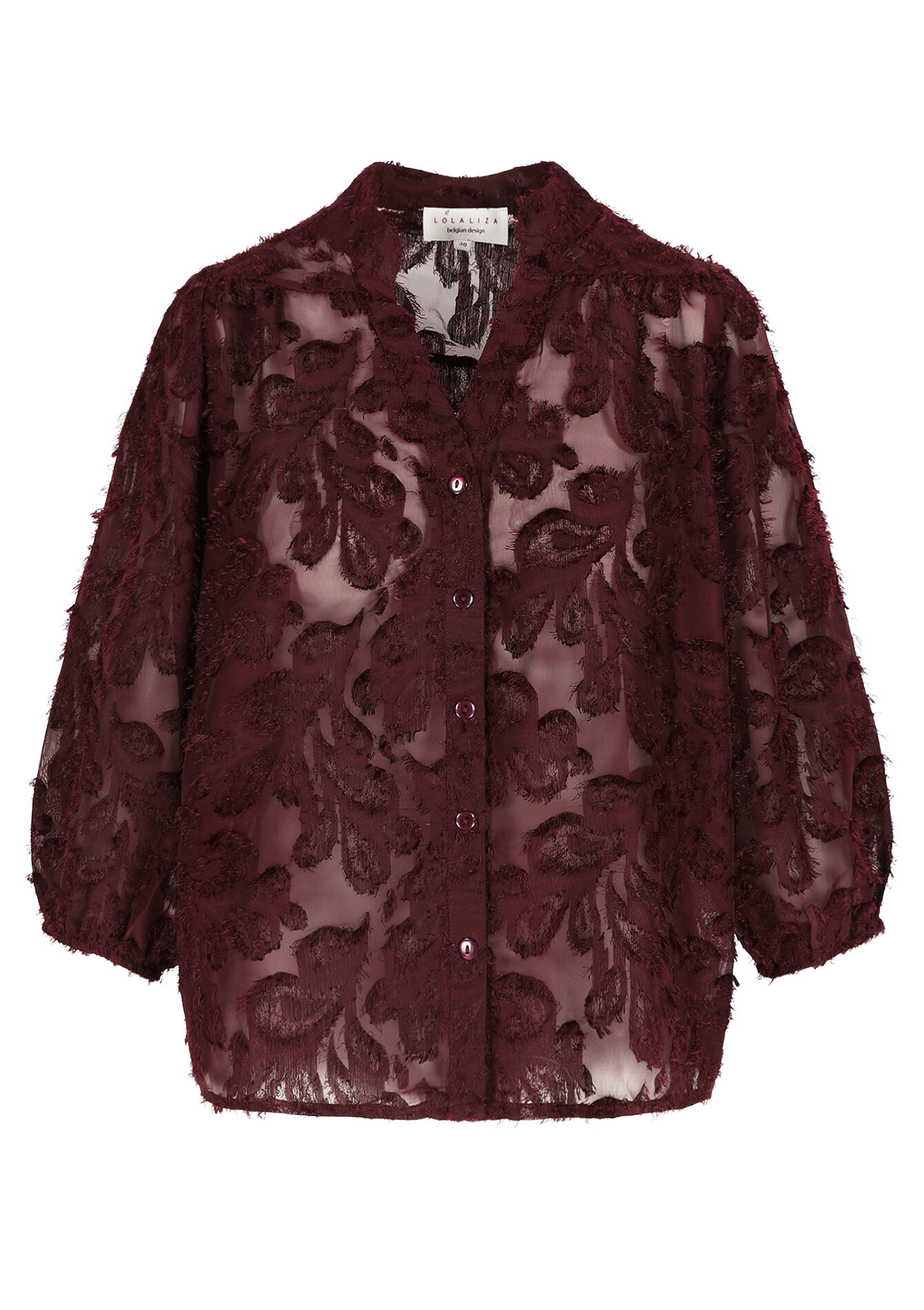 Chemise transparente texturée - BORDEAUX WINE - 05702855_5514